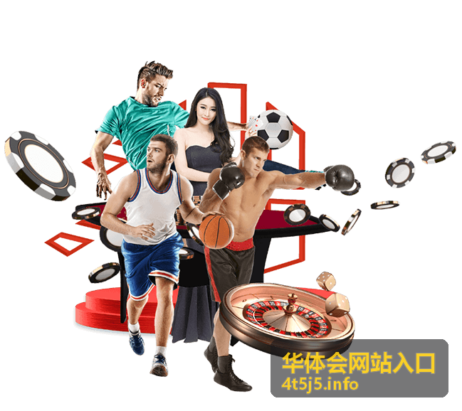 华体会网站入口新手入门指南专题